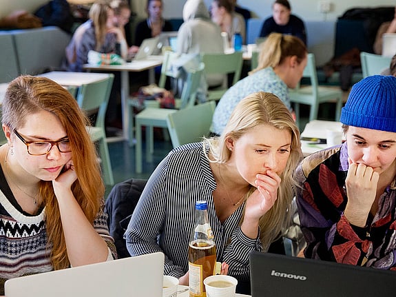 Studenter som pluggar tillsammans. Foto: Mostphotos