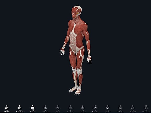 Anatomiprogrammet Complete Anatomy. Foto: Complete Anatomy
