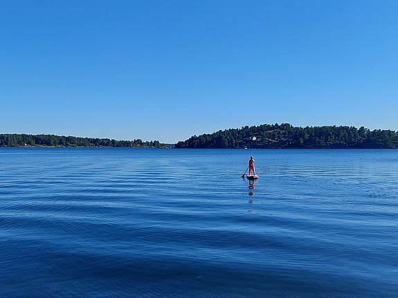 Foto av Maria Niinimaa