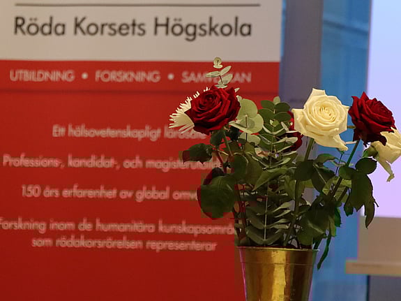 Bild av vita och röda rosor.