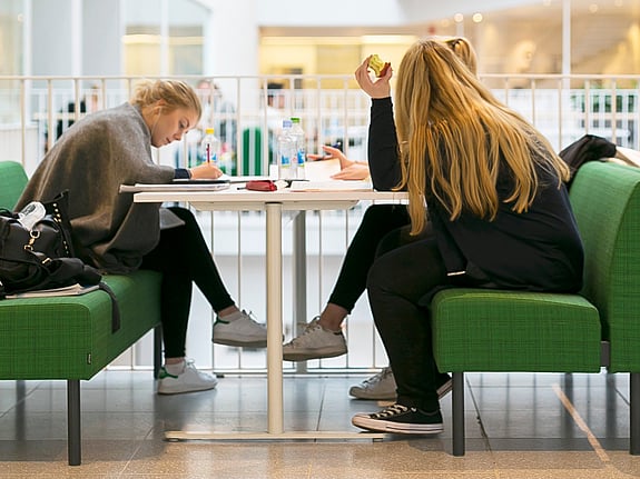 Studenter som studerar i grupp. Foto: RKH