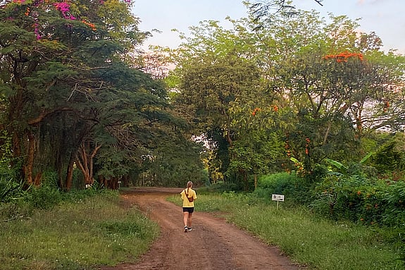 Bild från Tanzania. Foto: Privat