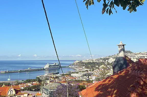 Utsikt över Madeira. Foto: Privat