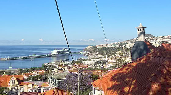 utsikt över Madeira. Foto: Privat