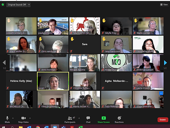 Digitalt möte med Florence Network.