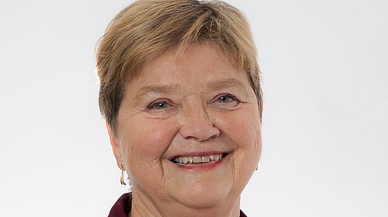 Ingegerd Palmér, Ordförande