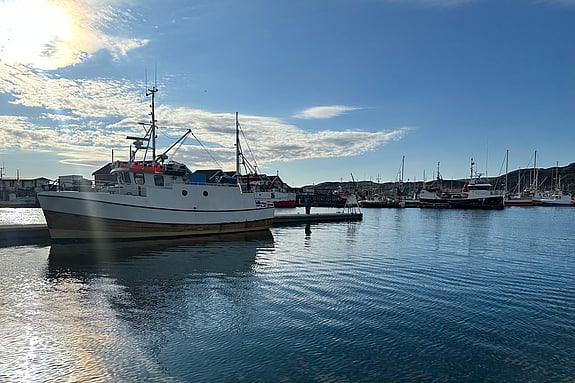 Hamnen i Bodö. Foto: Privat