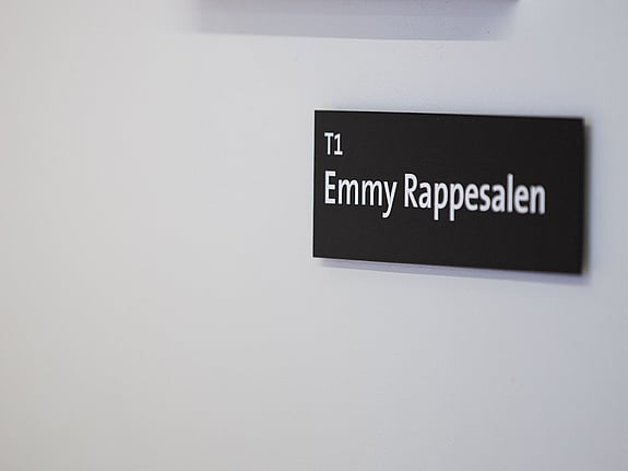 Emmy Rappesalen vid Röda Korsets Högskola
