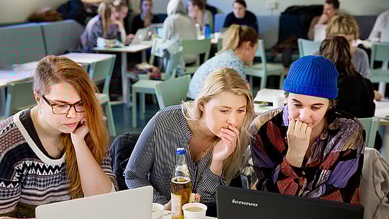 Studenter som pluggar tillsammans. Foto: Mostphotos