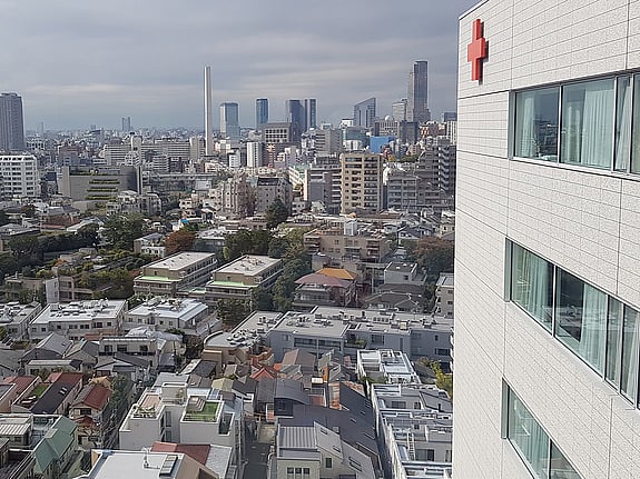 Bild från utbyte i Tokyo, Japan. Foto: Privat