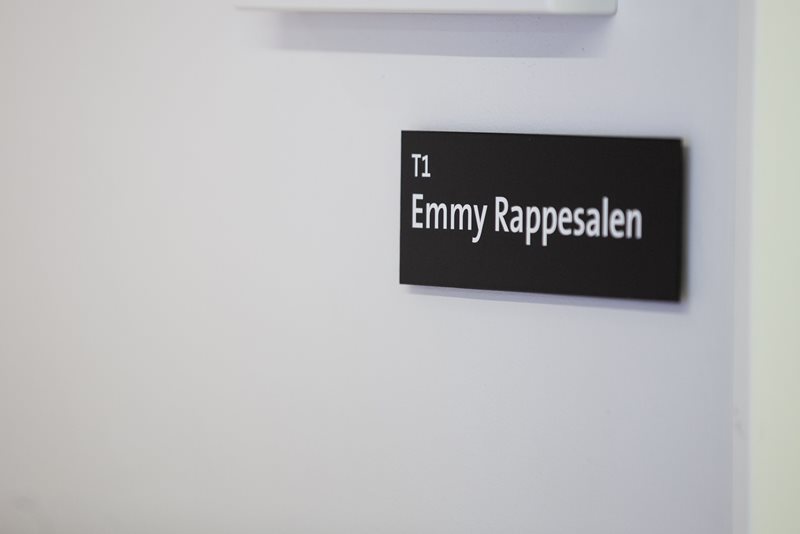 Emmy Rappe-salen