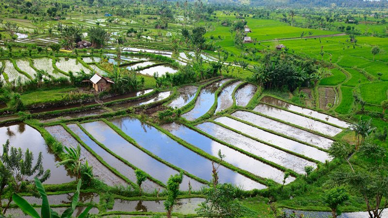 Miljöbild Indonesien