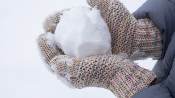 snöboll